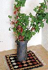 minikilim