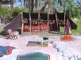 �����