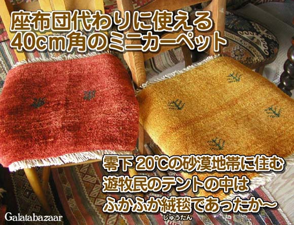 座布団代わりにも♪ミニギャッベ