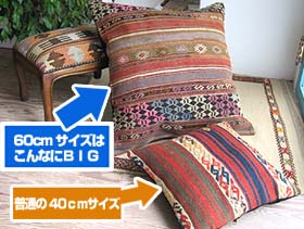 60cmサイズ