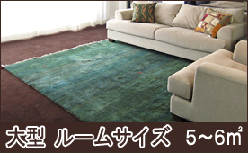  �緿������ 