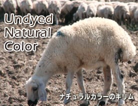 �ʥ����륫�顼�Υ�����ý�