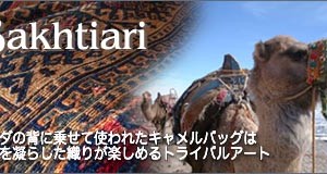 Camel Bag Horgin