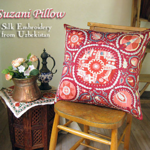 480suzanipillow